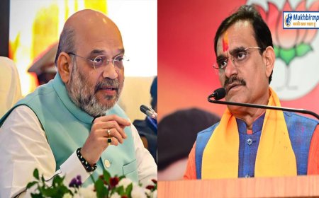 अब भाजपा क्रियान्वयन समिति का करेगी गठन,दिए गए टास्क की निगरानी करेगी समिति