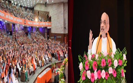पन्ना प्रमुखों को अमित शाह की सलाह,बीमा एजेंट की तरह करें काम,कांग्रेसियों को तोड़ें