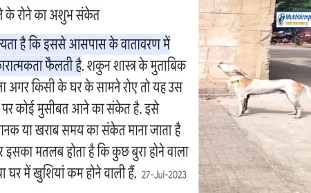 मंत्रियों की शपथ पर रोया कुत्ता,'कांग्रेस को हुआ दुख'