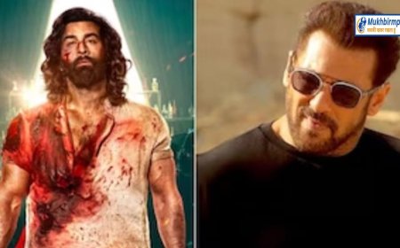पहले ही दिन एनिमल ने तोड़ डाला टाइगर 3 का रिकॉर्ड,करोड़ों में हो रही कमाई