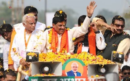 10वीं 12वीं पास के लिए बंपर भर्ती,फारेस्ट विभाग में होने वाली है भर्ती