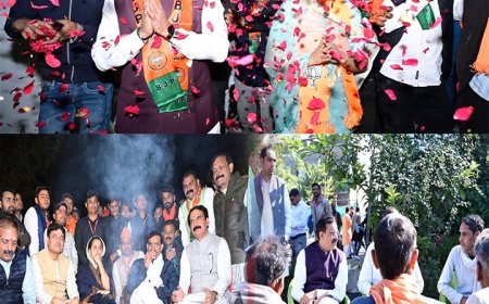 आवन गांव के घर-घर घूमे प्रदेश अध्यक्ष वीडी शर्मा,चाय,मटर और स्वल्पाहार पर की चर्चा,बताई मोदी सरकार की योजना