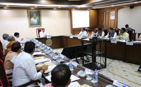 गौ पालकों के लिए खुशखबरी,बढ़ेगी राशि और मानदेय,कैबिनेट बैठक में हुआ फैसला