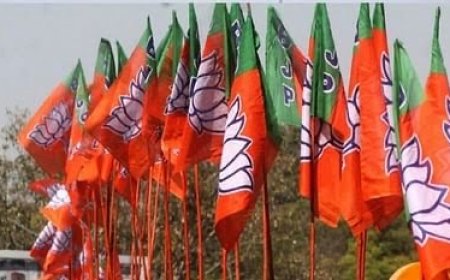 बीजेपी ने पहली सूची में किये 195 नाम घोषित,विदिशा से मैदान में होंगे शिवराज