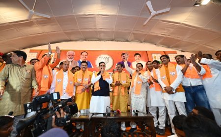 छिंदवाड़ा-राजगढ़ का दुर्ग जीतने में जुटी बीजेपी,रीवा-सतना में BSP कर रही सेंधमारी