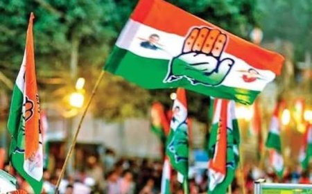 कांग्रेस की नई कार्यकारिणी के लिए एक अनार 100 बीमार जैसी कहानी,दावेदार दिल्ली तक दे रहे दस्तक