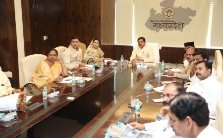 बीजेपी लगाएगी ‘एक पेड़ मां के नाम’ मुख्यमंत्री मोहन यादव ने की समीक्षा बैठक,छह जुलाई को चलेगा अभियान