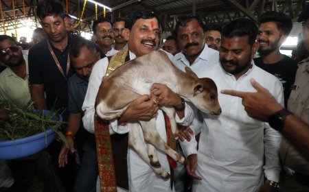 दूध खरीदने पर सरकार देगी बोनस,सीएम मोहन यादव का बड़ा ऐलान