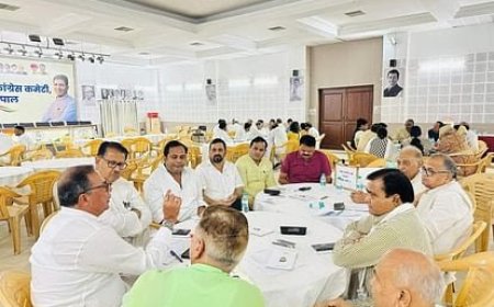 कांग्रेस की प्रदेश कार्यकारिणी को लेकर फंसा पेंच,भोपाल में बैठक के बाद दिल्ली में कांग्रेस नेताओं ने दी दस्तक,चुनाव में हारे नेता कार्यकारिणी में चाहते है जगह