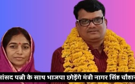 मोहन सरकार में मंत्री नागर सिंह चौहान देंगे इस्तीफा,चौहान ने कहा पार्टी में बाहर से आए नेताओं को मिलता है सम्मान,टाट-दरी बिछाने वाले को मिलता है अपमान