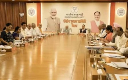 एमपी बीजेपी के संगठन में बदलाव की तैयारी,दिल्ली में होगी बड़ी बैठक,प्रदेश संगठन महामंत्री हितानंद शर्मा भी रहेंगे मौजूद