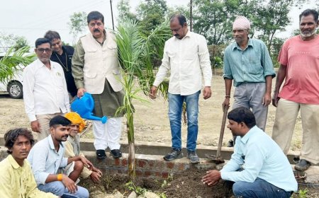 'जागृत हिन्दू मंच ने लगाए 101 पौधे' प्रवक्ता दुर्गेश केशवानी का बयान,पर्यावरण की रक्षा करना हर नागरिक की जिम्मेदारी