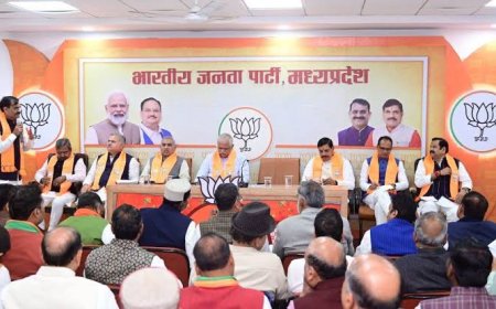 राज्यसभा की एक सीट के लिए भाजपा में दावेदारों की कतार,कई दावेदार आए सामने,दिल्ली से होगा फैसला