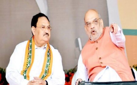 शनिवार को होगा बीजेपी के राष्ट्रीय अध्यक्ष का फैसला,भाजपा पदाधिकारियों की बैठक में बनेगी सांगठनिक चुनावों की रणनीति