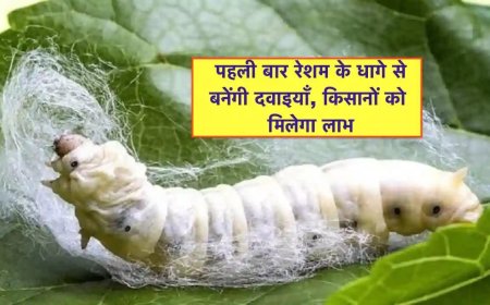 एमपी में रेशम से बनाई जाएंगी दवाइयां,'रेशम से समृद्धि योजना' हुई शुरु
