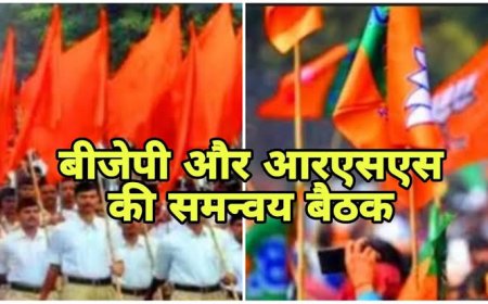 पहले भोपाल में संघ और संगठन के बीच सुबह सात बजे हुई बैठक फिर दिल्ली की राष्ट्रीय बैठक के लिए रवाना हुए भाजपा के नेता