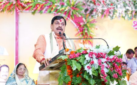 हर विकासखंड में एक गांव बरसाना के रुप में होगा विकसित,सीएम मोहन यादव की बड़ी घोषणा