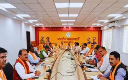 मिशन 28 और 29 की तैयारी में भाजपा,सदस्यता अभियान से भविष्य की दिशा तय करने में जुटी भाजपा,एक अगस्त से होगा महा सदस्यता अभियान