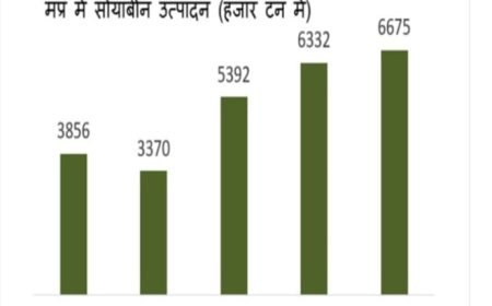 सोयाबीन उत्पादन में नंबर वन बना मप्र,'सोयाप्रदेश' का मिला ताज,महाराष्ट्र,राजस्थान को छोड़ा पीछे