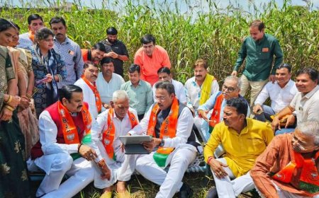 पहले रायशुमारी से भाजपा मंडल अध्यक्षों की करेगी नियुक्ति,बात नहीं बनी तो होंगे चुनाव,मंडल अध्यक्षों के बाद जिला अध्यक्षों का होगा चुनाव
