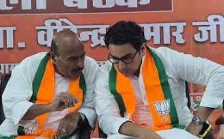 सीएम के कार्यक्रम में शामिल नहीं होंगे सांसद जनार्दन मिश्रा,विधायक सिद्धार्थ तिवारी विवाद की वजह आई सामने