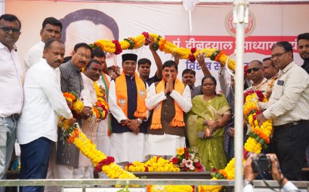 श्रीअन्न उत्पादक किसानों को प्रोत्साहित करने के लिये मोहन सरकार का ऐतिहासिक फैसला