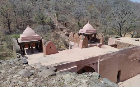 रानी दुर्गावती के सम्मान में मोहन  मंत्रि-परिषद की बैठक दमोह के सिंग्रामपुर में होगी आयोजित,सीएम देंगे प्रदेश को कई सौगात