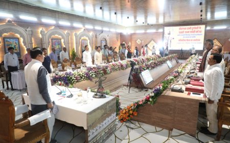 श्रीअन्न के लिए 3900 रुपये हेक्टेयर अतिरिक्त सहायता देगी प्रदेश की मोहन सरकार