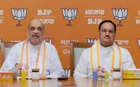 संगठन चुनाव से पहले आज दिल्ली में होगी भाजपा की बड़ी बैठक,करीब सात घंटे तक चलेगी मैराथन बैठक,प्रदेश अध्यक्ष वीडी शर्मा सहित अन्य सदस्य होंगे शामिल