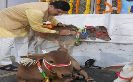 गायों का होगा श्रृंगार,प्रदेश भर में पूरे धूमधाम के साथ मनाया जाएगा गोवर्धन महापर्व,हर जिले में मंत्री रहेंगे मौजूद