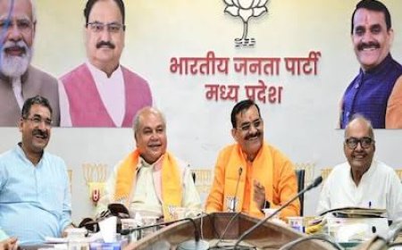 14 से 20 नवम्बर के बीच होंगे भाजपा बूथ कमेटियों के चुनाव,अध्यक्ष के अलावा 11 कार्यकर्ताओं की कार्यकारिणी का होगा चुनाव