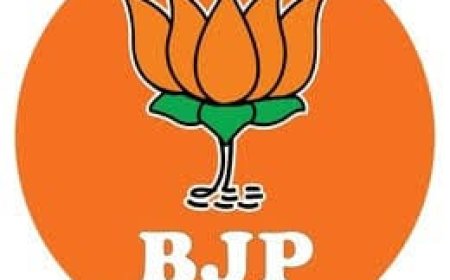 दिल्ली में फाइनल होगी भाजपा जिलाध्यक्षों की लिष्ट,अध्यक्षों के रिपीट होने पर जारी होगी गाइडलाइन