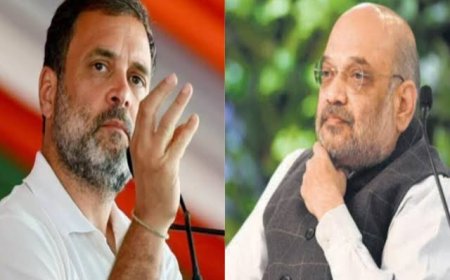 राहुल गांधी कहेंगे ‘जय भीम’ भाजपा कहेगी ‘जय संविधान’ अब अंबेडकर के भरोसे भाजपा और कांग्रेस की सियासत