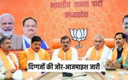 अध्यक्षों की सूची से पहले ‘डैमेज कंट्रोल’ की तैयारी में बीजेपी संगठन,कार्यालय में जश्न मनाने के मिले निर्देश