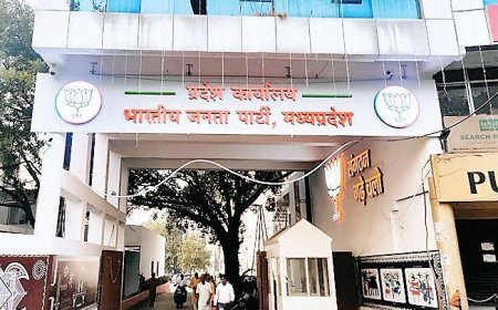 बीजेपी अध्यक्ष की दौड़ में शामिल सभी दावेदारों ने लगाई दिल्ली तक दौड़,खुद के लिए जमा रहे फील्डिंग