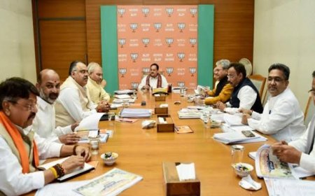 एक हफ्ते के अंदर बीजेपी के प्रदेश अध्यक्ष का होगा फैसला,होली के पहले राष्ट्रीय अध्यक्ष का होगा चुनाव
