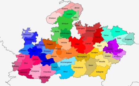 एमपी में लागू होगा 'नक्शा' कार्यक्रम,प्रदेश के 9 जिलों के 10 नगर शुरु होगा पायलट प्रोजेक्ट