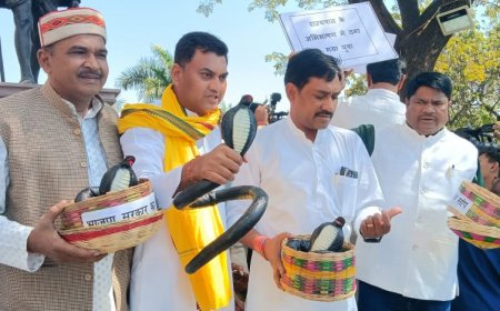 हाथ में 'सांप' लेकर विधानसभा पहुंचे कांग्रेस विधायक,सरकार पर बेरोजगार युवाओं को 'डसने' का लगाया आरोप