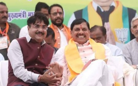 बयानों के बवाल पर उलझी भाजपा,बगैर सेचे बयान देने वाले नेताओं पर कार्रवाई करने के मूड में भाजपा