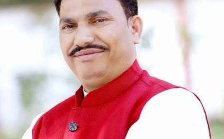 बीजेपी विधायक चिंतामणि मालवीय का प्रदेश अध्यक्ष वीडी शर्मा पर करारा प्रहार,पूछा किस कृत्य से लगा आघात