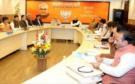 भाजपा के वरिष्ठ नेताओं के धैर्य का फूट रहा बांध,प्रदेश अध्यक्ष की घोषणा नहीं होने से नाराज हो रहे नेता और कार्यकर्ता