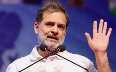 105 दिन में बनेगी राहुल गांधी की ‘कांग्रेस’ 61 ऑब्जर्वर बनाएंगे जिले के लिए पैनल