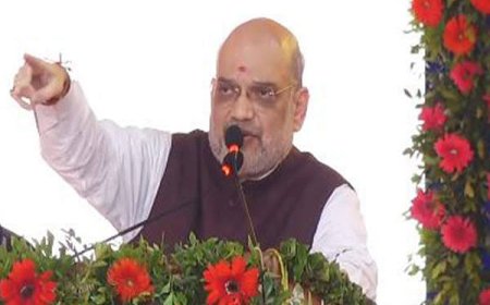 'जोश में नहीं होश' में रह कर भाषण दें सांसद और विधायक,अमित शाह ने दो टूक शब्दों में सांसद-विधायकों को दी चेतावनी