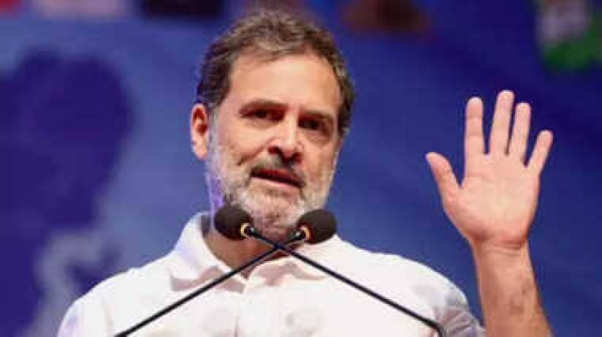105 दिन में बनेगी राहुल गांधी की ‘कांग्रेस’ 61 ऑब्जर्वर बनाएंगे जिले के लिए पैनल