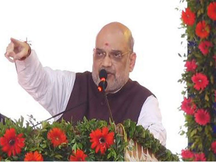 'जोश में नहीं होश' में रह कर भाषण दें सांसद और विधायक,अमित शाह ने दो टूक शब्दों में सांसद-विधायकों को दी चेतावनी