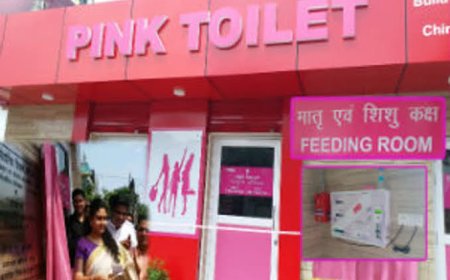 प्रदेश के 183 नगरीय निकायों में 218 'पिंक टॉयलेट' महिलाओं के लिए सरकार का बड़ा कदम