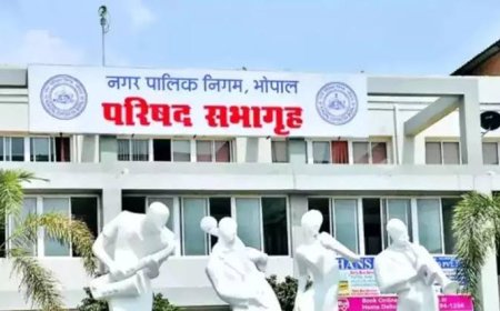 नगरीय निकायों में ई-गवर्नेंस सेवाओं का होगा विस्तार,सिंगल पोर्टल पर मिलेंगी सभी जानकारियां