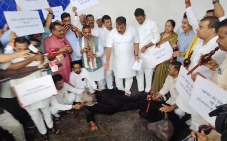 विधानसभा में 'भैंस' के आगे कांग्रेस विधायकों ने बजाई बीन,सीएम ने कहा मर्यादा में रहिए