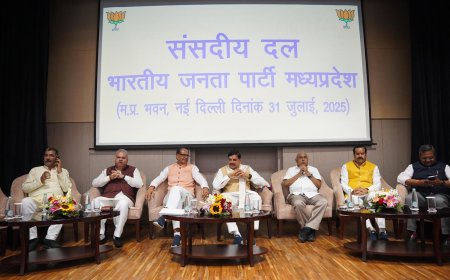 भाजपा विधायकों के बाद सांसदों पर ‘अनुशासन’ का डंडा,क्षेत्र में जाइए जनता से संपर्क और संवाद कीजिए