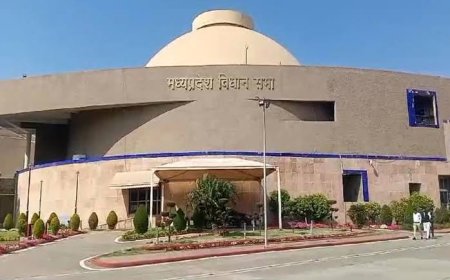 लव जिहाद का गढ़ बना मध्य प्रदेश,आधी आवादी को किया जा रहा टारगेट सरकार हो रही नाकाम